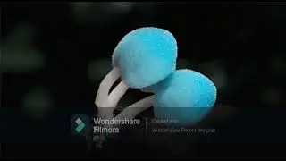 Hongos y L&iacute;quenes