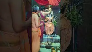 Full moon Sahasraghatabhishekam of the Goddess and the Marakata Linga Shiva Mukkoti #pushyapurnima