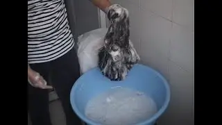 Hairwash FLCDCFL