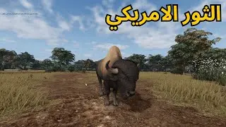 ايكوس لابريا #2 كيف تفتح الثور... المعاناة - Ecos La Brea