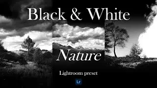 PRESET BLACK & WHITE NATURE | nature presets Free DNG | Presets for Lightroom Mobile and desktop
