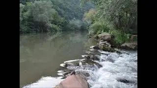 Radosav Antanasijević - Nišavsko Kolo