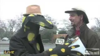 KCTS Exclusive! California Tiger Salamander Massacre