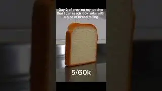 Day 2 of bread falling        #funny #cat #dbs #boys #meme #bsol #badn #breakerbattlogue #bendiskin