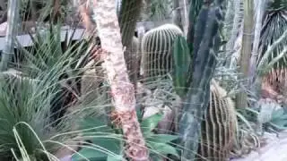 HERRENHÄUSER GÄRTEN HANNOVER. Teil 1  BERGGARTEN