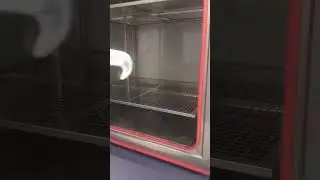 Test chamber humidity chamber climatic chamber environmental test chamber
