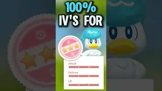 100% IVs for Quaxly in Pok&eacute;mon Go!