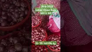 19-6-2025#Indian#Onion#rate#today#Maharastra#Madhyapradesh#explore#shorts