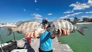 Рыбалка в Южной Флориде на гигантского морского окуня.