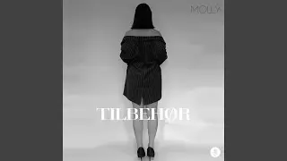 Tilbeh&oslash;r