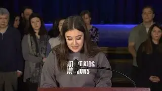 'She was my best friend:'Sister of Reese Fallon calls for handgun, assault rifle ban
