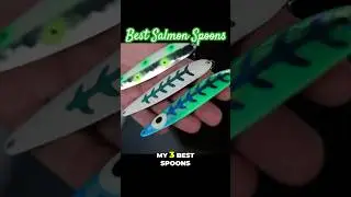Best Salmon Spoons of 2025 for Captain Chris Ingalls from @darkblueadventures #salmonfishing