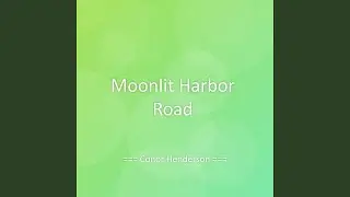 Moonlit Harbor Road
