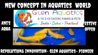 NEW REVOLUTIONARY PIONEERING CONCEPT IN AQUATIC WORLD| FESTIVE OFFER