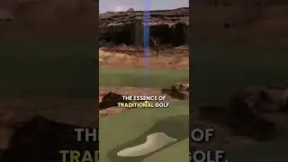 Tiger Woods and Rory McIlroy's New Golf League!