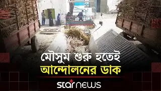 জামালপুরের মিলে দেশি চিনি তৈরি হয় যেভাবে | Jamalpur Sugar Mill | Star News