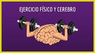 Ejercicio físico y cerebro 🧠 Mejora tu salud mental