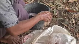 SMART TRICK TO PREPARE UREA FERTILIZER BEFORE SPREADING ON RICE - Agriculture Farming