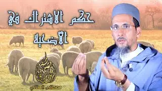 حكم الاشتراك في الأضحية || الشيخ مصطفى الهلالي