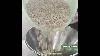 200 Kg Per Hour Multi-function Colloid Mill Stainless Steel Colloidal Mill