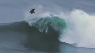 SNIPER BODYBOARDS & ALEX URANGA - FREEDOM MEMORIES