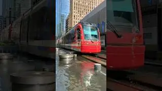 Houston METRORail Red Line in Downtown Houston #metrorail #lightrail #tram #trains #trainspotting