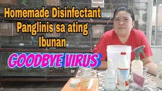 Homemade Disinfectant. Panglinis sa ating Ibunan