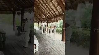 What Happens When a Mariachi Band Shows Up?
