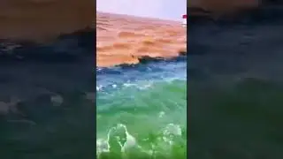 Ocean divided into two colors #shorts