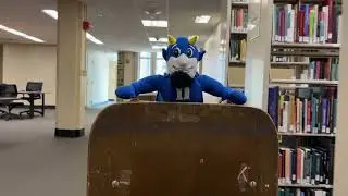 How to Find a Book in the Stacks