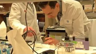 PLATELET BIOREACTOR
