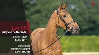 Online Elite-Auktion Lot 69 Ruby van de Warande Stute v. Matisse de Mariposa - Treasure Z