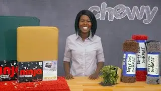 Dog Gone Smart Pet Products | Chewy