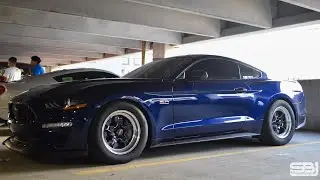 DALLAS TRIP | RACING DALLAS FASTEST N/A MUSTANG | 1700TITO