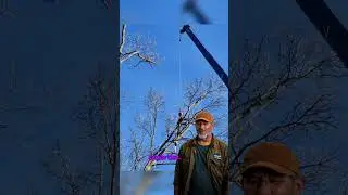 Reliable Tree Storm Damage Services in Ohio &ndash; Naugle Logging to the Rescue!
