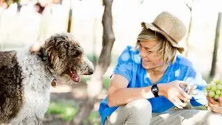 INSANE Pet Toys & Gadgets You Must have for your adorable pet