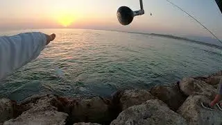 Frenzy Small Trevally | One fish in Every Cast | Fishing in Oman | DIY fishing setup...