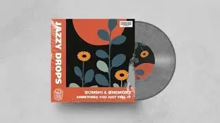 Bomshi & &Oslash;NEMOR3 - Sometimes You Just Feel it (1 Hour Long)