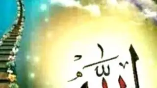 ماموستا ابوبکر بیلو . حدیثی از پیامبر. گفتگوی پیامبر با یک شتر