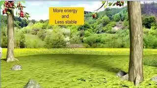 CBSE 11 Chemistry | Kossel - Lewis Approach to Chemical Bond