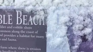 Surf check: Classic Backyards on the 2nd day of Winter 2024/2025.