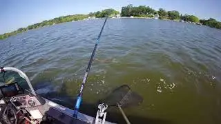 Musky in June 2025