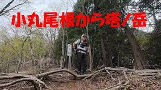 【The 定番低山編】小丸尾根から塔ノ岳　ほどよい急登 鍋割山周回におすすめ　2025/4/22
