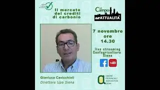 Il mercato dei crediti di carbonio, quanto ne sappiamo?
