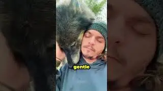 Животные любят Его как отца ❤️