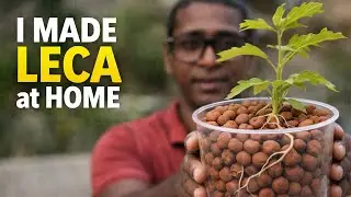 Watch This Before Buying LECA Clay Balls | DIY Reality Check