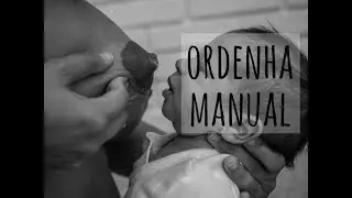 Como fazer a ordenha manual