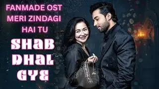 Shab Dhal Gye | Meri Zindagi Hai Tu | Drama OST #merizindagihaitu  #haniaaamir #bilalabbaskhan
