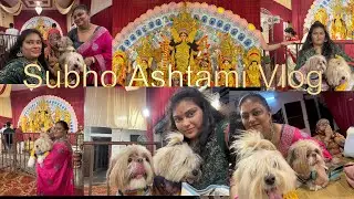 Subho Ashtami with Furry Babies 🐾 | Durga Puja 2025 Special Celebration!