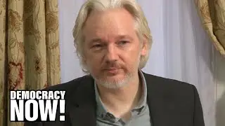 Attorney: U.S. Case Against Julian Assange Falls Apart, as Key Witness Says He Lied to Get Immunity